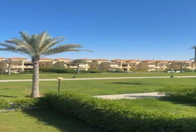 8204019 - صورة العقار 2