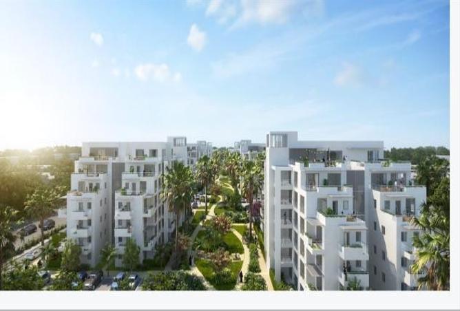 6822836 - Property Image 3