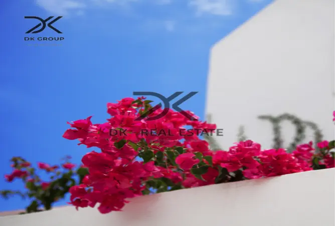 118803784 - Property Image 2
