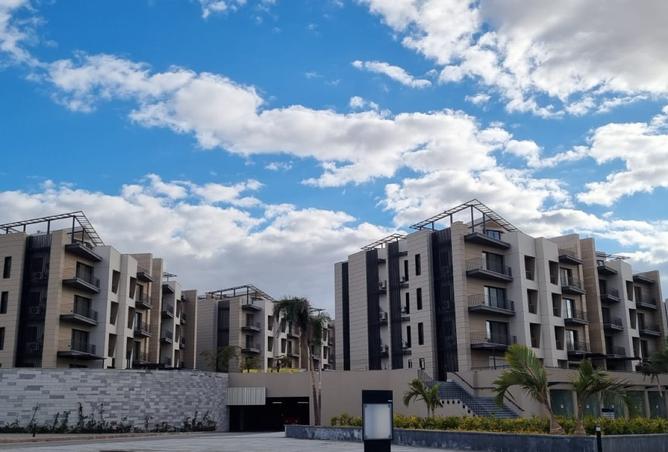 55254185 - Property Main Image