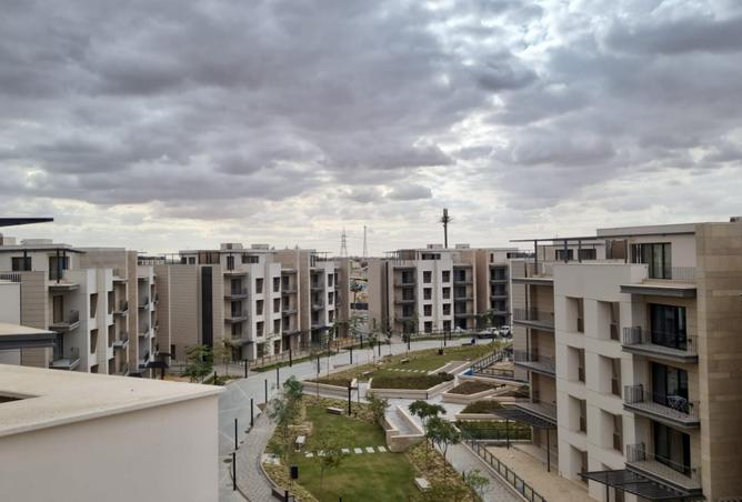 55254185 - Property Image 3