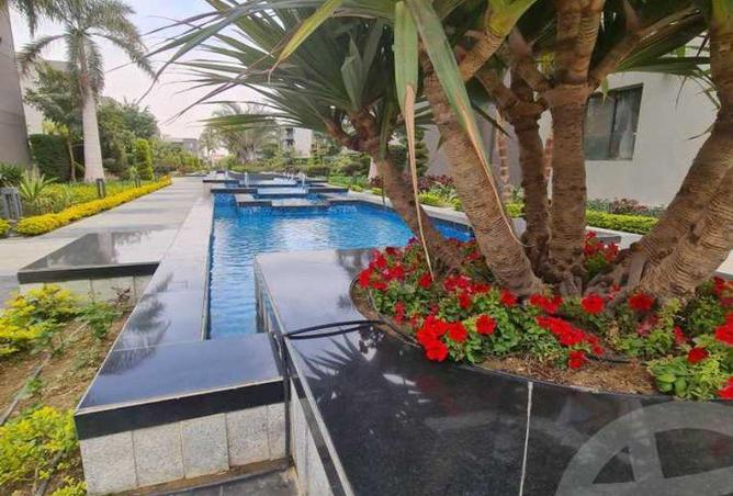 8186568 - صورة العقار 3