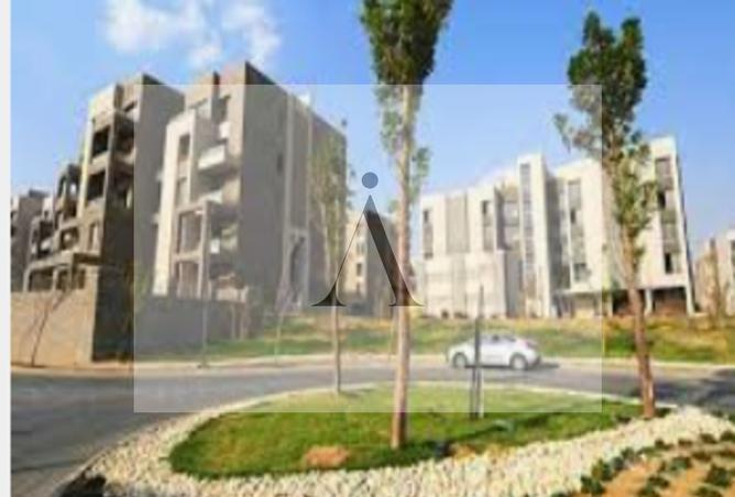 7110849 - صورة العقار 3