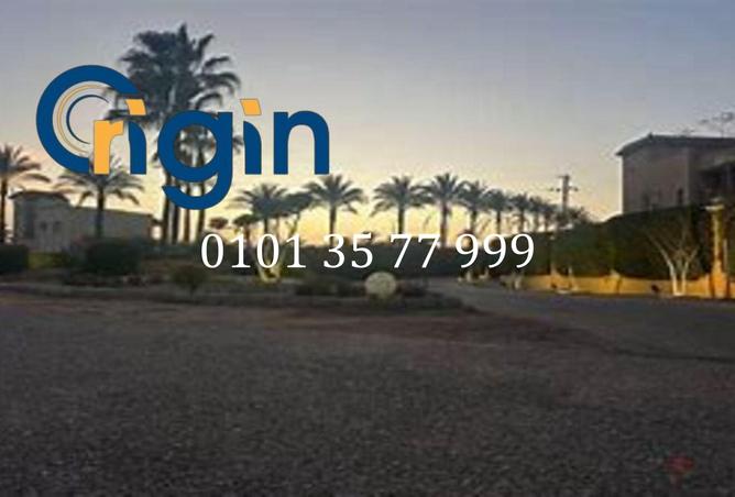 81311078 - صورة العقار 2
