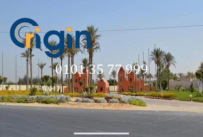 81311120 - صورة العقار 2