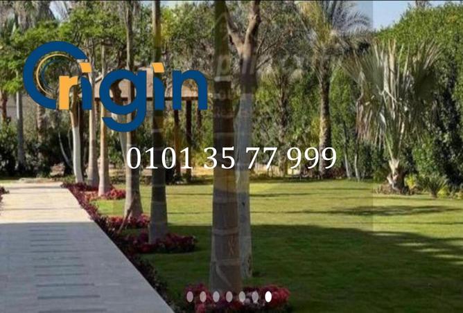 81311120 - الصورة الرئيسية للعقار