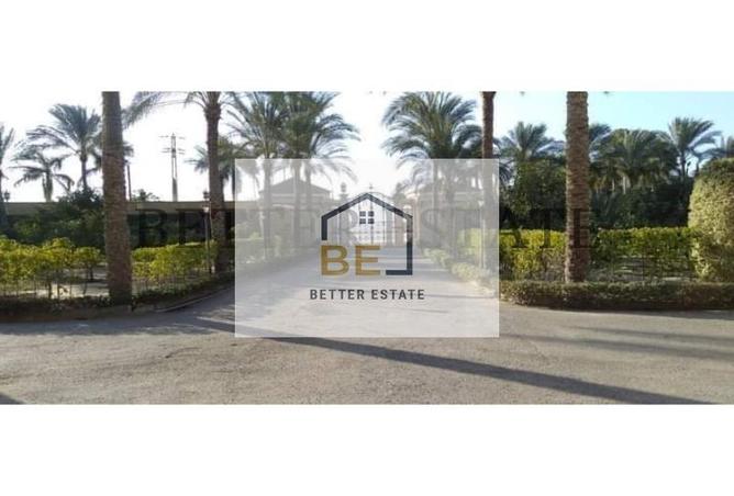 6151351 - صورة العقار 2