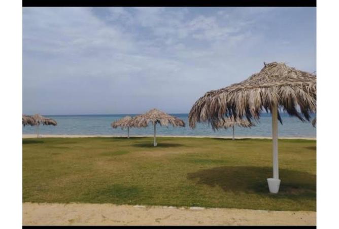 7986425 - Property Main Image