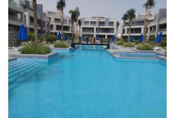 7986425 - Property Image 2