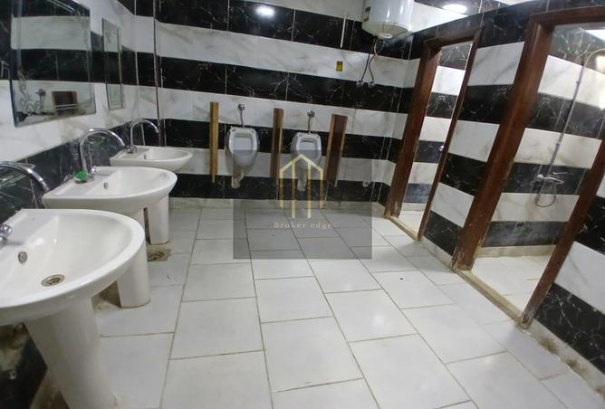 7123201 - صورة العقار 2