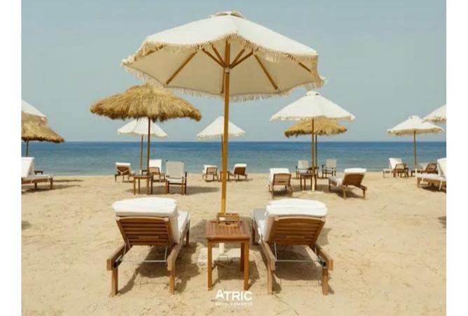 7787950 - Property Image 3