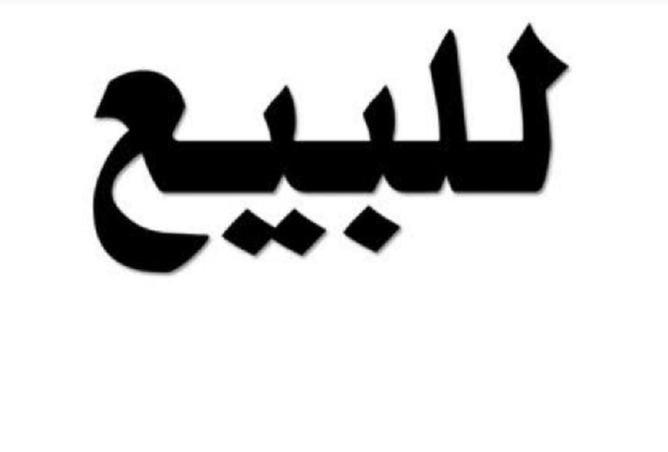 4164252 - صورة العقار 2