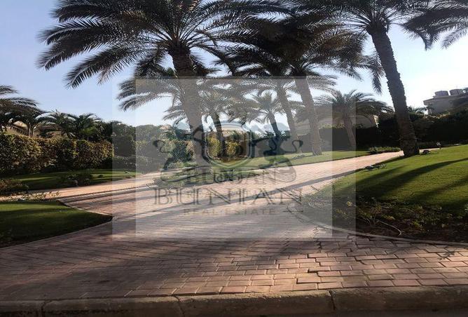 8381611 - صورة العقار 3