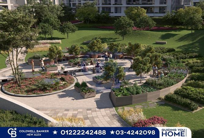 5579213 - صورة العقار 3