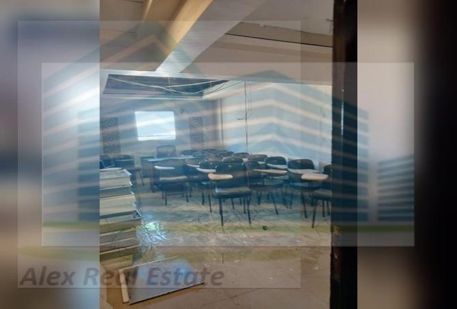 6853131 - Property Image 3