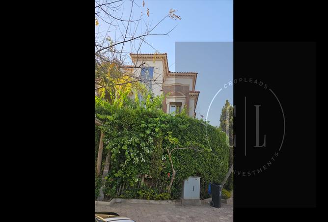 7134382 - صورة العقار 3