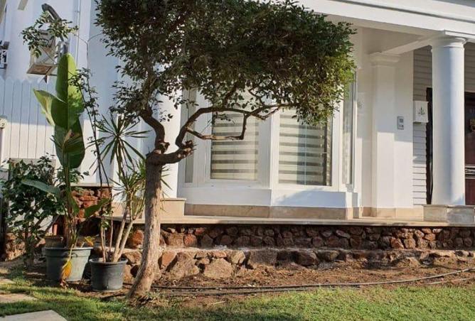 8381479 - Property Image 3