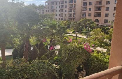 Apartment - 3 Bedrooms - 2 Bathrooms for rent in El Rehab Extension - Al Rehab - New Cairo City - Cairo Apartment - 3 Bedrooms - 2 Bathrooms for rent in El Rehab Extension - Al Rehab - New Cairo City - Cairo