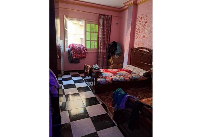 7004336 - Property Image 3