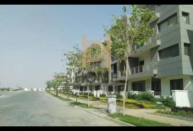 6866604 - صورة العقار 3