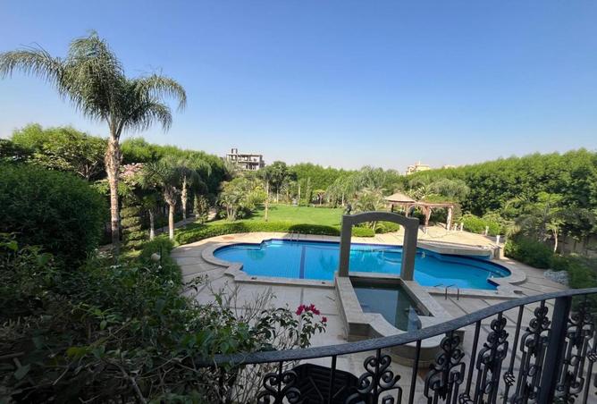 6867074 - صورة العقار 2