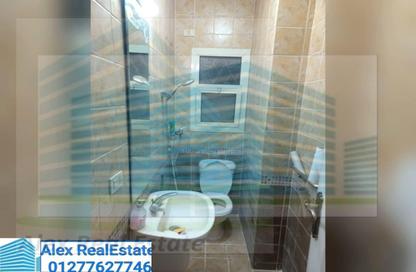 Apartment - 2 Bedrooms - 1 Bathroom for rent in Nady Smouha Al Riyadi St. - Smouha - Hay Sharq - Alexandria