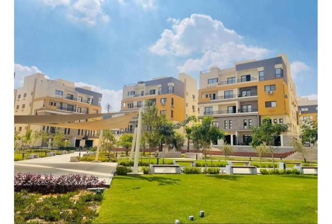 7163483 - صورة العقار 3