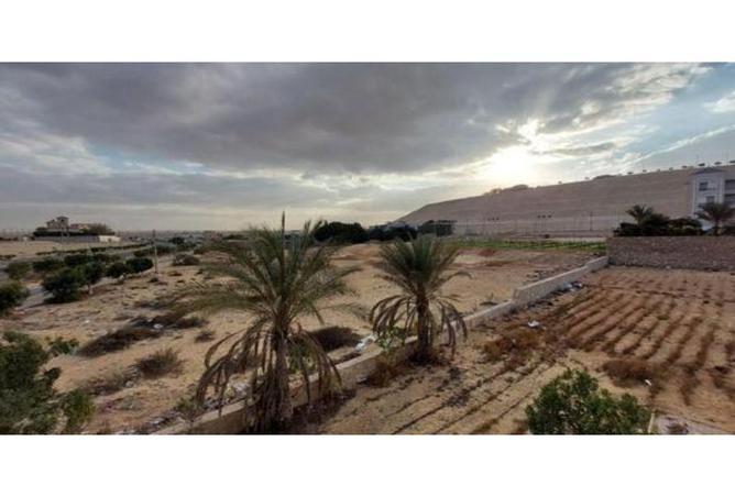 75686644 - صورة العقار 2