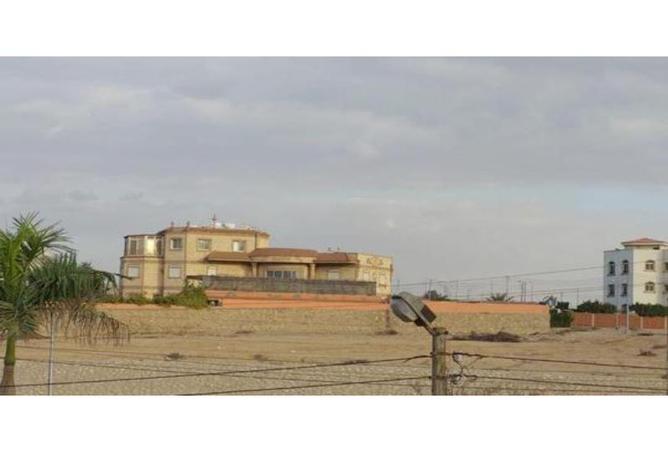 75686644 - صورة العقار 3