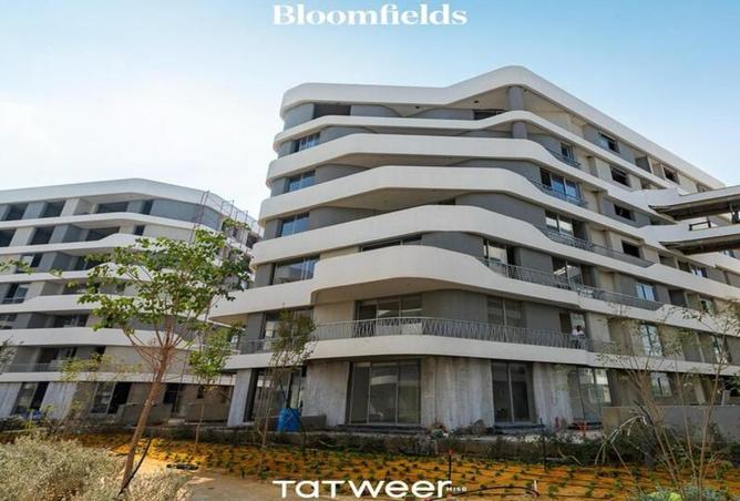 7167915 - صورة العقار 2