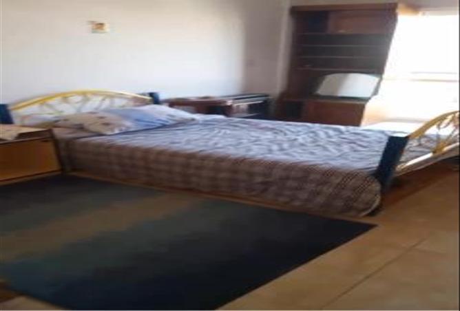 7166816 - Property Image 3