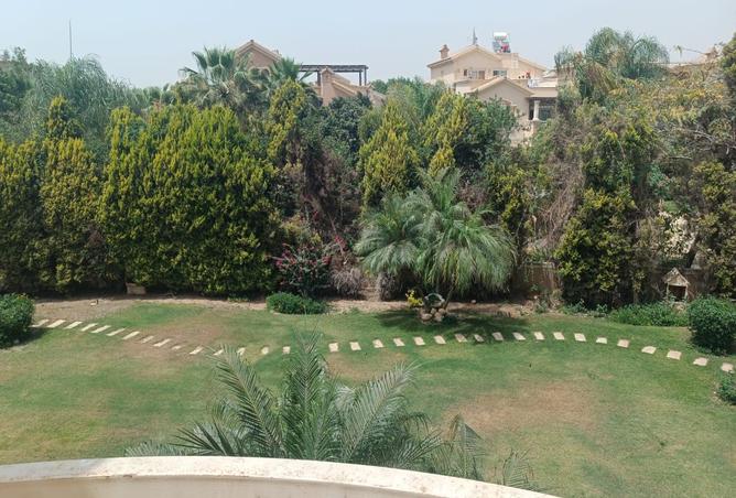 7169374 - صورة العقار 3