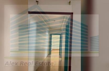 شقة - 3 غرف نوم - 2 حمامات للايجار في شارع نادى سموحة الرياضى - سموحة - حي شرق - الاسكندرية