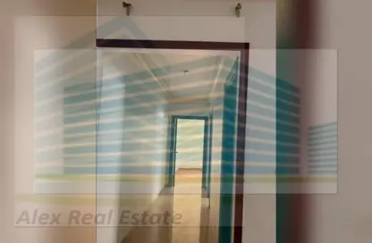 شقة - 3 غرف نوم - 2 حمامات للايجار في شارع نادى سموحة الرياضى - سموحة - حي شرق - الاسكندرية