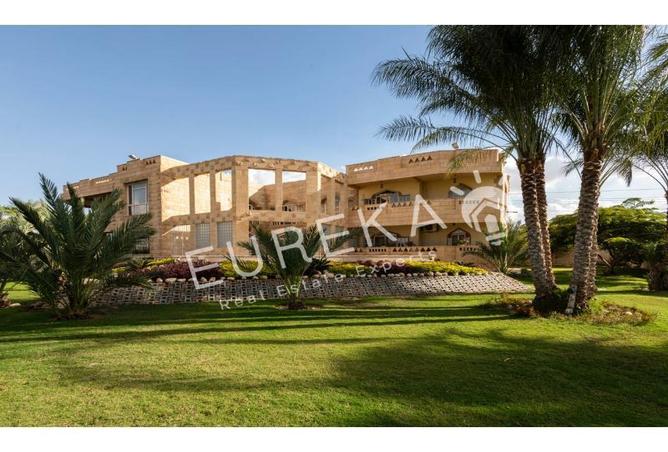 5629249 - Property Image 3