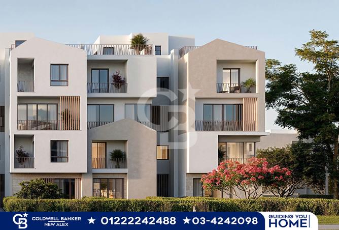 7029396 - صورة العقار 2