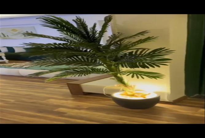 6726960 - الصورة الرئيسية للعقار