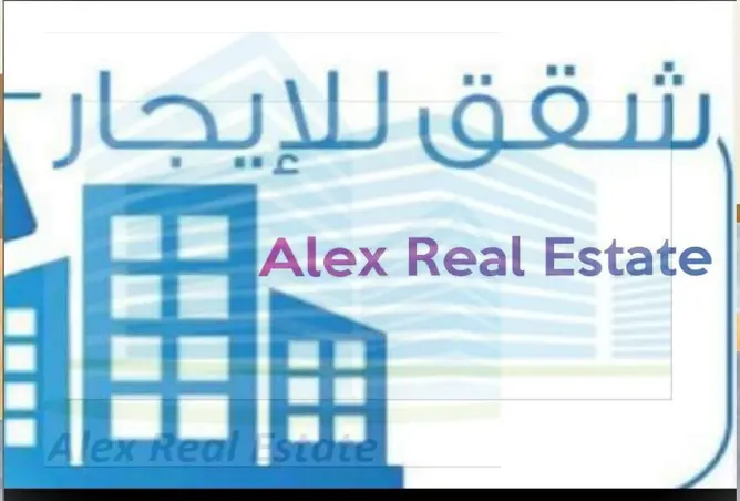 7033307 - Property Image 3