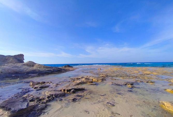 7177145 - صورة العقار 3