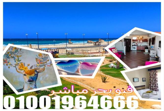 7098947 - الصورة الرئيسية للعقار