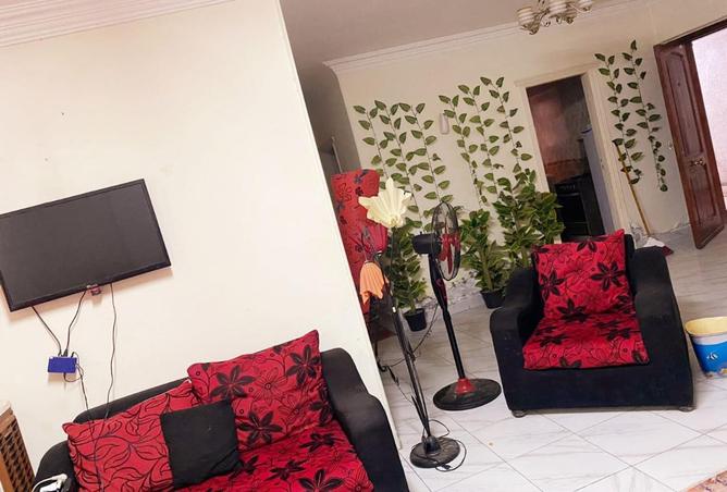 3506516 - Property Image 3