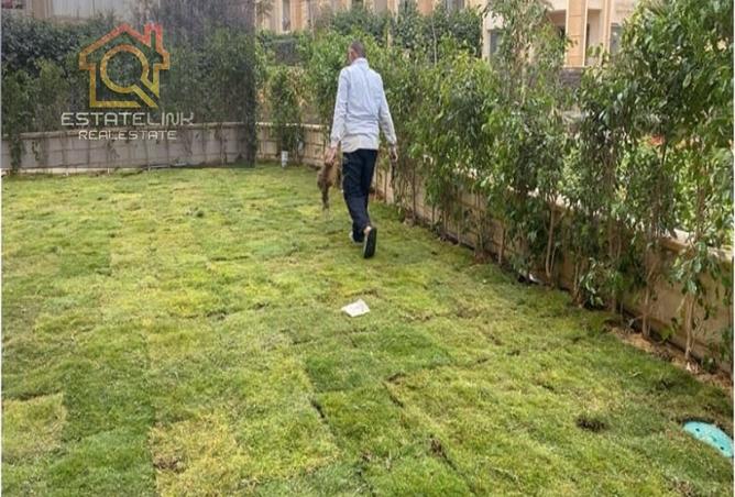 7179889 - Property Image 3