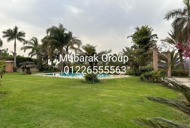 8091188 - الصورة الرئيسية للعقار