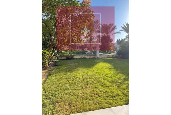 8410027 - صورة العقار 3