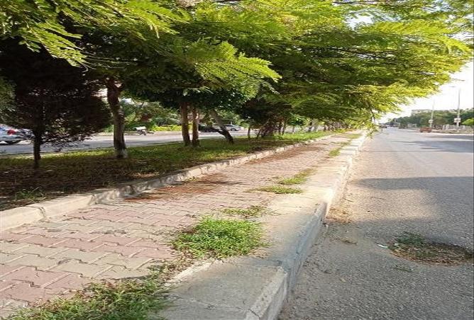 6875386 - Property Image 2