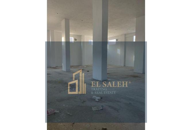 4010496 - Property Image 3