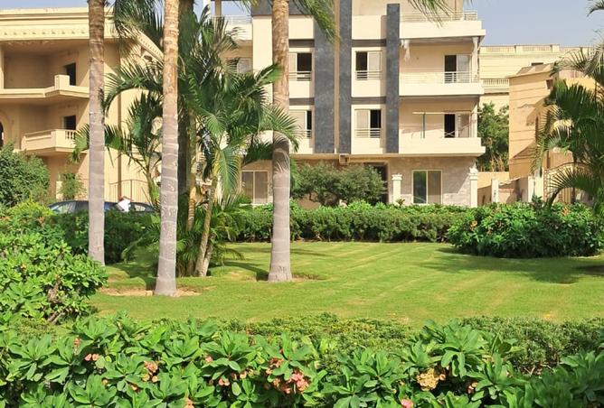 7182625 - صورة العقار 3