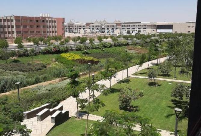 7183295 - الصورة الرئيسية للعقار