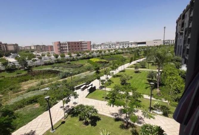 7183295 - صورة العقار 2