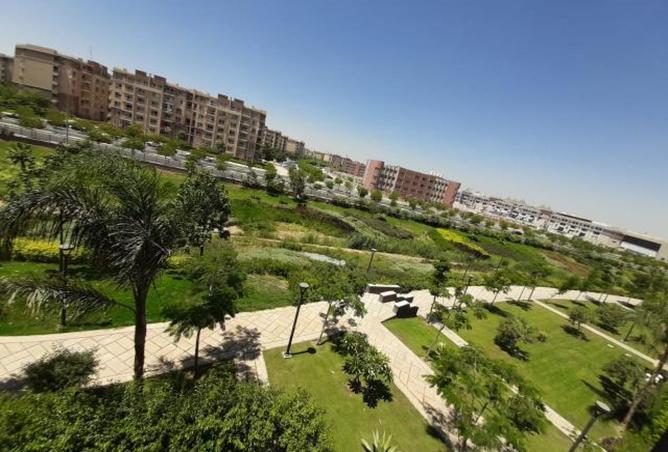 7183295 - صورة العقار 3